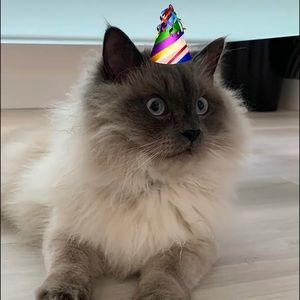 Meet your Posher, Raman